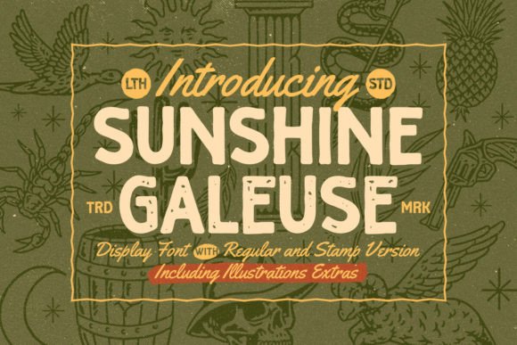 Choosing Sunshine Galeuse for a Refined Editorial Display