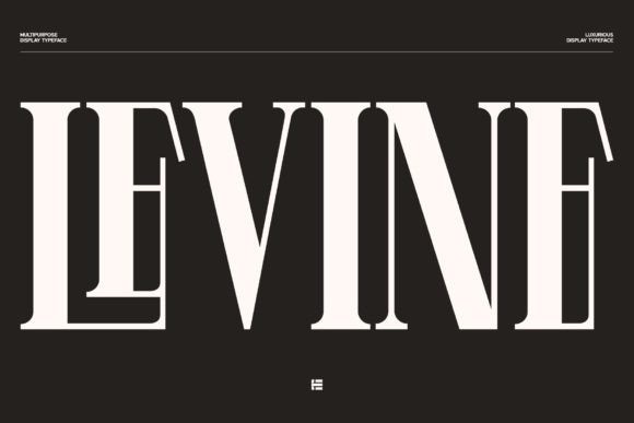 Levine: The Premium Display Typeface That Elevates Every Campaign